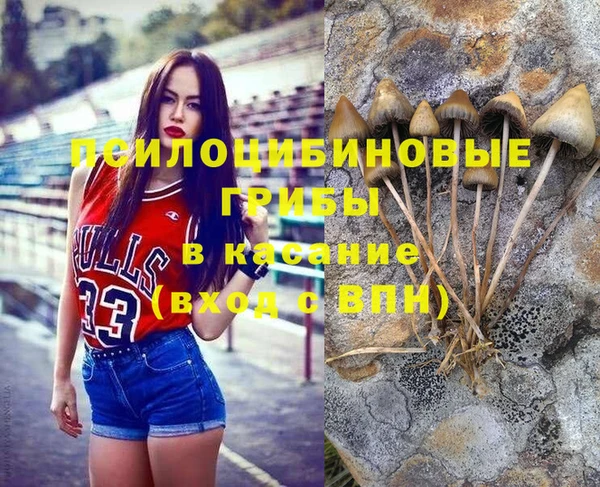 спиды Волоколамск