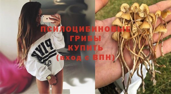 экстази Вяземский