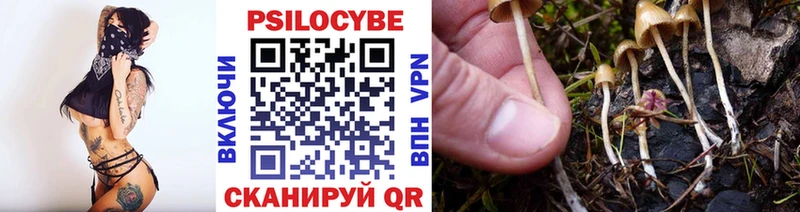 Галлюциногенные грибы GOLDEN TEACHER  хочу наркоту  Тверь 